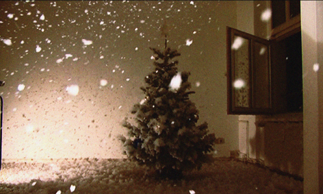 Four Seasons, Still from Video, 2009 