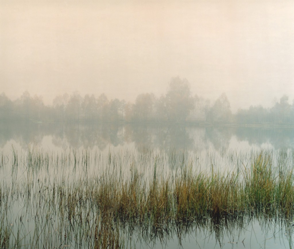 Swamp 01, 120x150cm, 2008