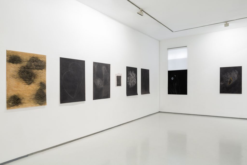 SHAAR | Installation View | Noga Gallery | 2020