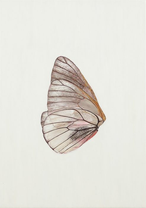 Untitled #13,2021, Oil on canvas, 70X50 cm