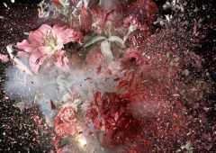 Ori Gersht, Untitled 03, Archival Inkjet Print, 100x77 cm, 2022