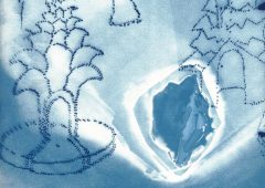 Shahar Yahalom, stone (detail), cyanotype on paper, 30x30cm, 2024