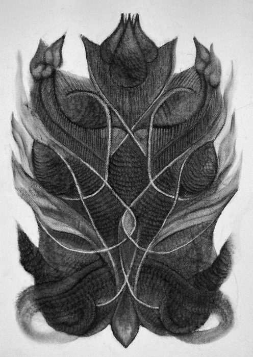 Yakira Ament,  Emanations, Charcoal on cotton paper, 42x30 cm, 2023