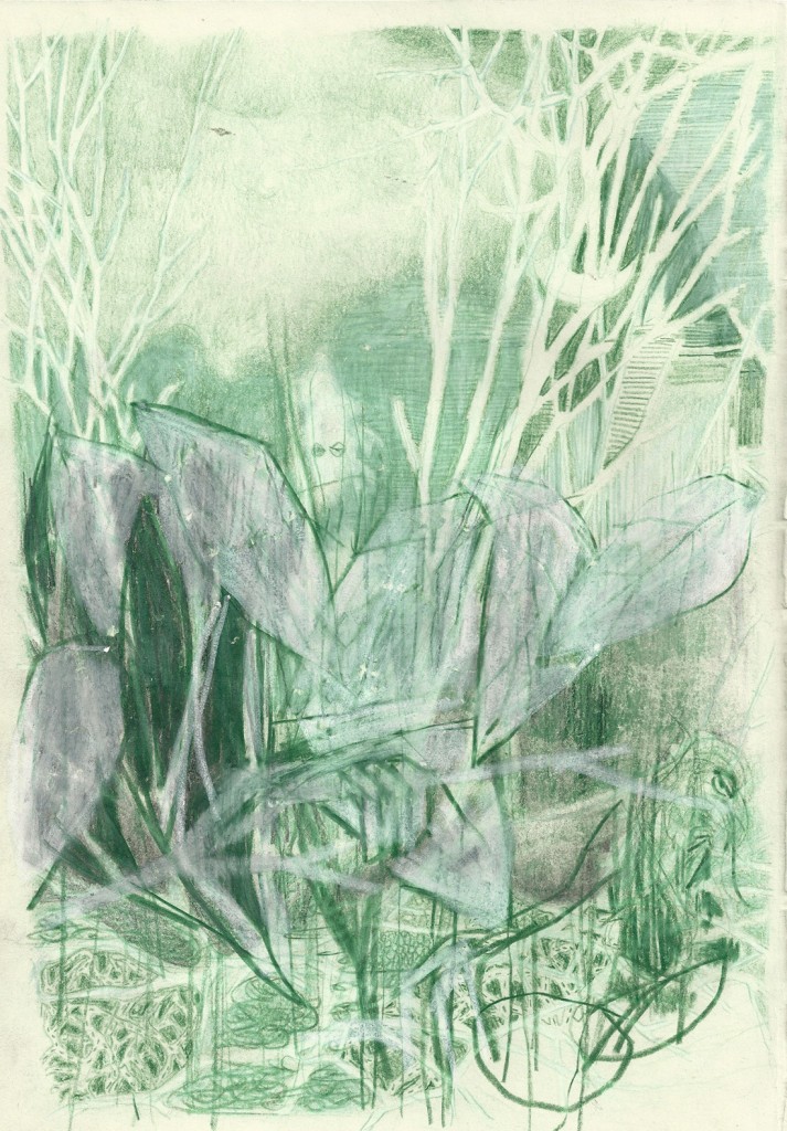 Untitled, colored pencil on paper, 20x28.5cm, 2012 