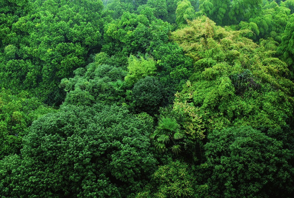 Untitled #6, lambda c-print, 74x100cm, 2009