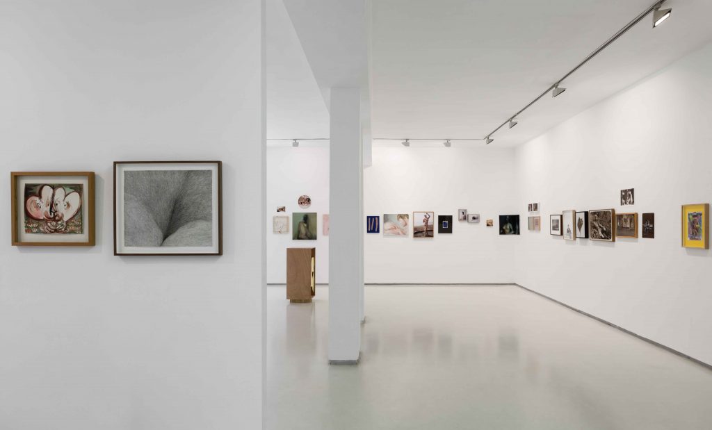 Erotic Salon, Installation View, Noga Gallery, 2018
