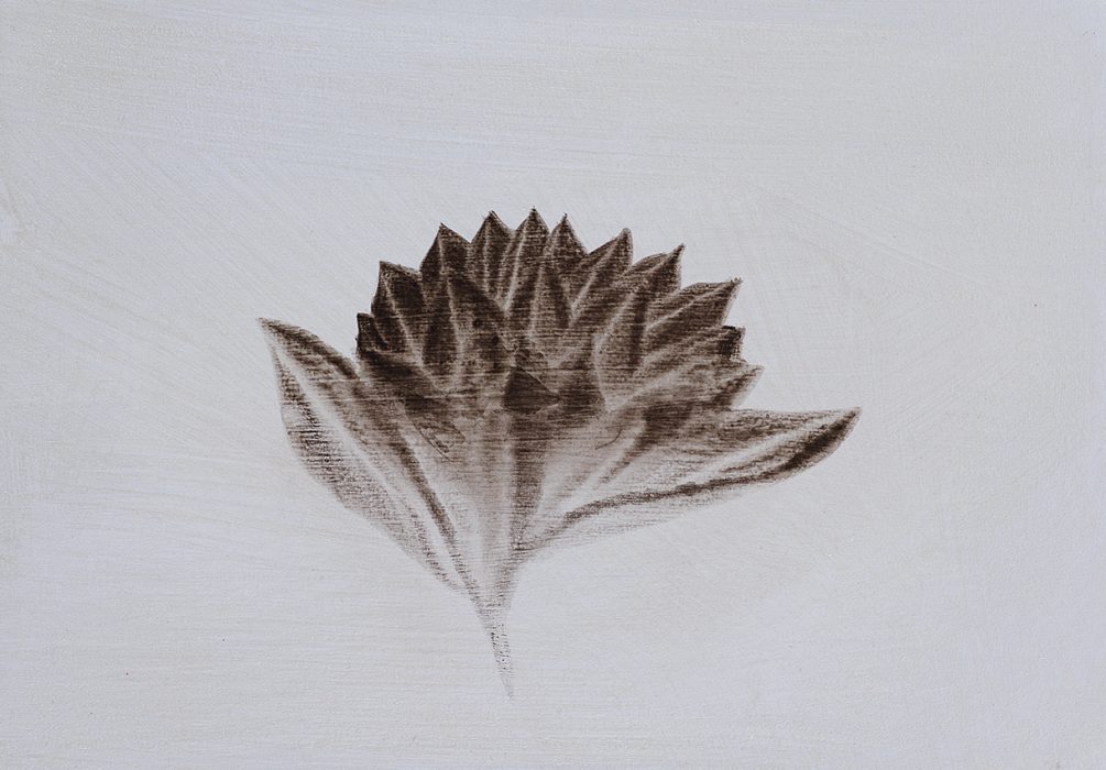 Mosh Kashi, Ash Flora, 2016, Oil on canvas, 35x50cm
