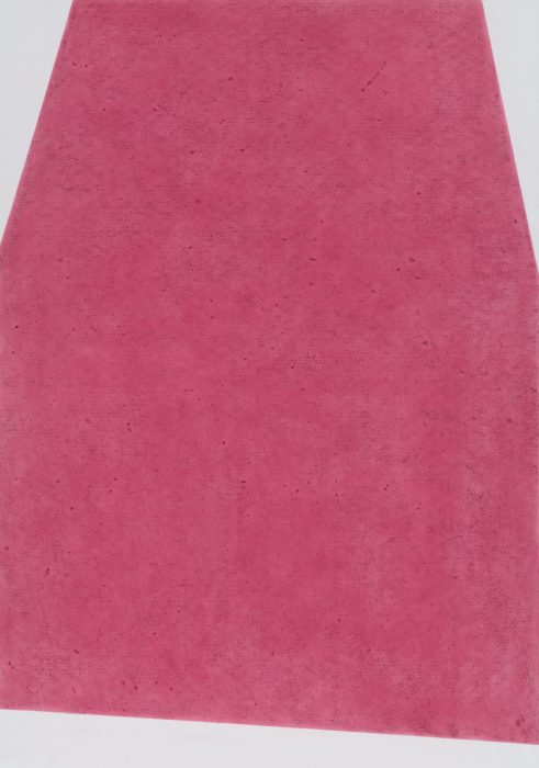 Magenta, 2024, soft pastel on paper, 102x72 cm