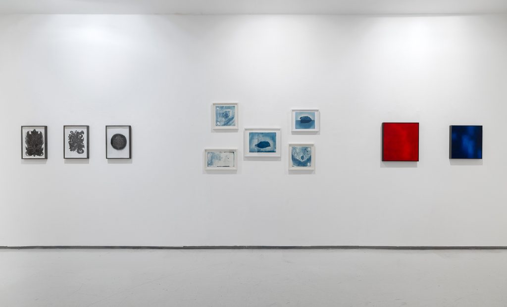 exhibition view by elad sarig
